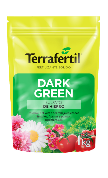 Producto Dark Green