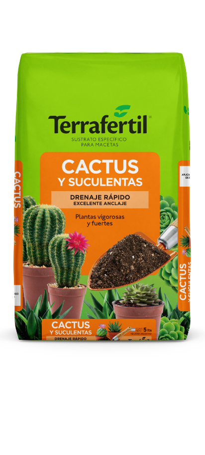 Sustrato para cactus y suculentas
